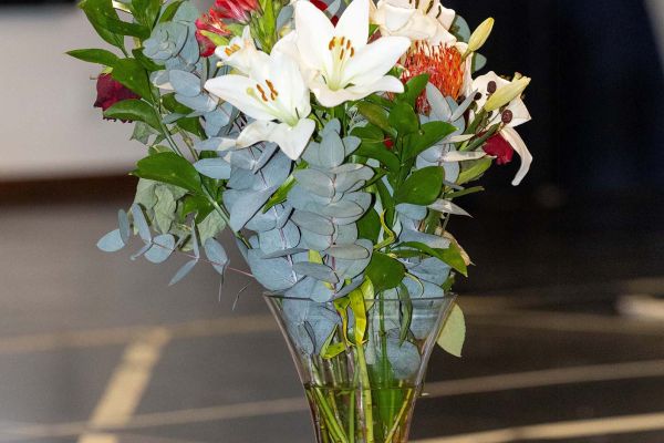 img-08040D34C697-1781-8640-EF1D-8A52ED65C755.jpg